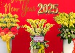 Những Chậu Lan Hồ Điệp Được Yêu Thích Mùa Tết 2025